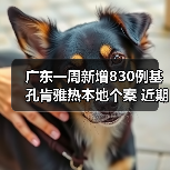 广东一周新增830例基孔肯雅热本地个案 近期疫情态势平稳 来源:互联网 2025-08-17(图4) 广东一周新增830例基孔肯雅热本地个案 近期疫情态势平稳 来源:互联网 2025-08-17(图4)