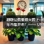 顺联公园里烟火园上·新年市集开市！—— UNI小灵龙首展、非遗市集、创意潮玩、咖啡烘焙…