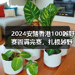 2024安踏香港100越野赛圆满完赛，扎根越野赛道探索品牌新领域（图3）