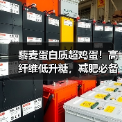 藜麦蛋白质超鸡蛋!高纤维低升糖,减肥必备食材(图4) 藜麦蛋白质超鸡蛋!高纤维低升糖,减肥必备食材(图4)