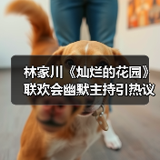 林家川《灿烂的花园》联欢会幽默主持引热议