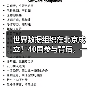 世界数据组织在北京成立！40国参与背后，一场数据主权革命（图4）