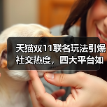 天猫双11联名玩法引爆社交热度，四大平台如何玩转创意营销？（图3）