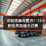 蛇咬伤急救要点！72小时生死救援全记录