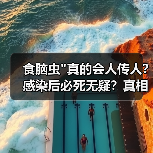 食脑虫