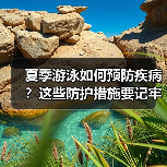 夏季游泳如何预防疾病？这些防护措施要记牢