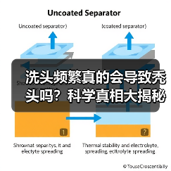 洗头频繁真的会导致秃头吗？科学真相大揭秘（图3）