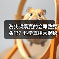 洗头频繁真的会导致秃头吗？科学真相大揭秘（图4）