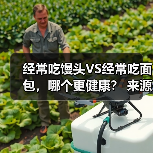 经常吃馒头VS经常吃面包，哪个更健康？ 来源：互联网 2026-04-24（图3）