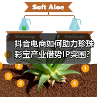 抖音电商如何助力珍珠彩宝产业借势IP突围？（图2）