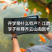 开学带什么特产？江西学子推荐齐云山南酸枣糕（图3）