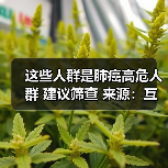 这些人群是肺癌高危人群 建议筛查 来源：互联网 2026-04-23（图4）