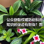 公众获取权威防癌科普知识的渠道有哪些？国家卫生健康委解答 来源：互联网 2026-04-23（图3）