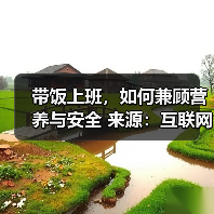 带饭上班，如何兼顾营养与安全 来源：互联网 2026-04-23（图3）