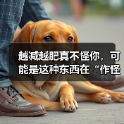 越减越肥真不怪你,可能是这种东西在“作怪” 来源:互联网 2026-04-23(图2) 越减越肥真不怪你,可能是这种东西在“作怪” 来源:互联网 2026-04-23(图2)