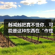 越减越肥真不怪你,可能是这种东西在“作怪” 来源:互联网 2026-04-23(图3) 越减越肥真不怪你,可能是这种东西在“作怪” 来源:互联网 2026-04-23(图3)