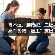 胃不适、腰背酸、血糖高?警惕“癌王”发出的预警信号 来源:互联网 2026-04-22(图3) 胃不适、腰背酸、血糖高?警惕“癌王”发出的预警信号 来源:互联网 2026-04-22(图3)