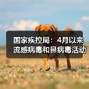 国家疾控局:4月以来流感病毒和鼻病毒活动水平呈上升趋势 来源:互联网 2026-04-22(图4) 国家疾控局:4月以来流感病毒和鼻病毒活动水平呈上升趋势 来源:互联网 2026-04-22(图4)