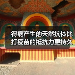 得病产生的天然抗体比打疫苗的抵抗力更持久吗?中疾控解答 来源:互联网 2026-04-22(图1) 得病产生的天然抗体比打疫苗的抵抗力更持久吗?中疾控解答 来源:互联网 2026-04-22(图1)