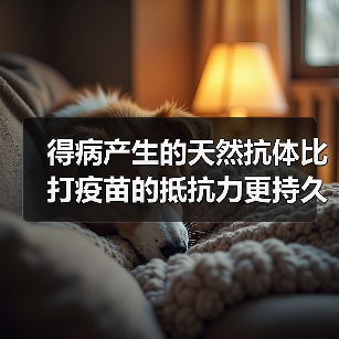 得病产生的天然抗体比打疫苗的抵抗力更持久吗?中疾控解答 来源:互联网 2026-04-22(图3) 得病产生的天然抗体比打疫苗的抵抗力更持久吗?中疾控解答 来源:互联网 2026-04-22(图3)