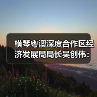横琴粤澳深度合作区经济发展局局长吴创伟：打造具有国际竞争力、影响力的世界级旅游度假区 来源：互联网 2026-04-22（图2）