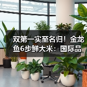 双第一实至名归!金龙鱼6步鲜大米:国际品质巅峰+全国销量第一,循环经济赋能产业升级(图3) 双第一实至名归!金龙鱼6步鲜大米:国际品质巅峰+全国销量第一,循环经济赋能产业升级(图3)