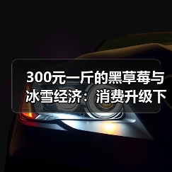 300元一斤的黑草莓与冰雪经济:消费升级下的“情绪价值”之战(图2) 300元一斤的黑草莓与冰雪经济:消费升级下的“情绪价值”之战(图2)