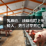 乳腺癌、胰腺癌盯上年轻人，男性过早死亡率出现双增长 来源：互联网 2026-04-22