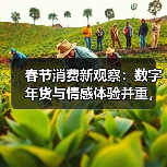 春节消费新观察:数字年货与情感体验并重,Z世代主导“仪式感经济”(图2) 春节消费新观察:数字年货与情感体验并重,Z世代主导“仪式感经济”(图2)