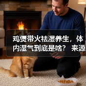 鸡煲带火祛湿养生，体内湿气到底是啥？ 来源：互联网 2026-04-22