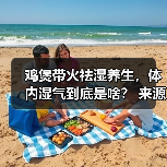 鸡煲带火祛湿养生，体内湿气到底是啥？ 来源：互联网 2026-04-22（图2）