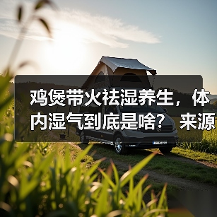 鸡煲带火祛湿养生，体内湿气到底是啥？ 来源：互联网 2026-04-22（图4）