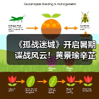 《孤战迷城》开启暑期谍战风云！黄景瑜辛芷蕾“王炸”组合强势来袭（图2）