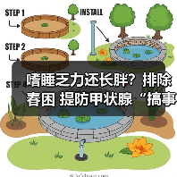 嗜睡乏力还长胖?排除春困 提防甲状腺“搞事情” 来源:互联网 2026-04-21(图2) 嗜睡乏力还长胖?排除春困 提防甲状腺“搞事情” 来源:互联网 2026-04-21(图2)