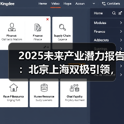 2025未来产业潜力报告:北京上海双极引领,合肥加速崛起(图4) 2025未来产业潜力报告:北京上海双极引领,合肥加速崛起(图4)