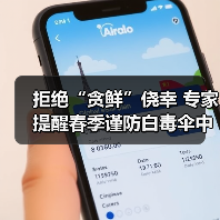 拒绝“贪鲜”侥幸 专家提醒春季谨防白毒伞中毒 来源:互联网 2026-04-20(图3) 拒绝“贪鲜”侥幸 专家提醒春季谨防白毒伞中毒 来源:互联网 2026-04-20(图3)
