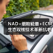 NAD+细胞能量+ECM生态双核技术革新抗老体验（图4）