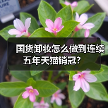 国货卸妆怎么做到连续五年天猫销冠?(图1) 国货卸妆怎么做到连续五年天猫销冠?(图1)