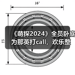 《萌探2024》全员卧底为那英打call,欢乐整蛊尽显友谊万岁(图1) 《萌探2024》全员卧底为那英打call,欢乐整蛊尽显友谊万岁(图1)