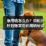 急用钱怎么办?微粒贷秒到账背后的周转秘诀(图1) 急用钱怎么办?微粒贷秒到账背后的周转秘诀(图1)