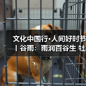文化中国行·人间好时节丨谷雨:雨润百谷生 牡丹香满园 来源:互联网 2026-04-20(图2) 文化中国行·人间好时节丨谷雨:雨润百谷生 牡丹香满园 来源:互联网 2026-04-20(图2)