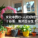 文化中国行·人间好时节丨谷雨:雨润百谷生 牡丹香满园 来源:互联网 2026-04-20(图1) 文化中国行·人间好时节丨谷雨:雨润百谷生 牡丹香满园 来源:互联网 2026-04-20(图1)