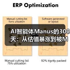 AI智能体Manus的300天:从估值暴涨到被Meta收购(图3) AI智能体Manus的300天:从估值暴涨到被Meta收购(图3)