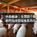 中新健康|全国首个脂肪肝临床数据库系统在京启动 来源:互联网 2026-04-20(图1) 中新健康|全国首个脂肪肝临床数据库系统在京启动 来源:互联网 2026-04-20(图1)