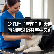 这几种“春困”别大意 可能是过敏甚至中风前兆 来源:互联网 2026-04-20(图3) 这几种“春困”别大意 可能是过敏甚至中风前兆 来源:互联网 2026-04-20(图3)