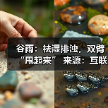 谷雨:祛湿排浊,双臂“甩起来” 来源:互联网 2026-04-20(图2) 谷雨:祛湿排浊,双臂“甩起来” 来源:互联网 2026-04-20(图2)