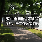 双11全网销售额破3788万,乌江榨菜实力领跑佐餐赛道(图1) 双11全网销售额破3788万,乌江榨菜实力领跑佐餐赛道(图1)