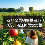双11全网销售额破3788万,乌江榨菜实力领跑佐餐赛道(图2) 双11全网销售额破3788万,乌江榨菜实力领跑佐餐赛道(图2)