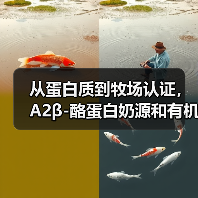 从蛋白质到牧场认证,A2β-酪蛋白奶源和有机奶源哪个更好(图4) 从蛋白质到牧场认证,A2β-酪蛋白奶源和有机奶源哪个更好(图4)