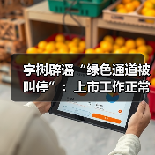 宇树辟谣“绿色通道被叫停”:上市工作正常推进(图2) 宇树辟谣“绿色通道被叫停”:上市工作正常推进(图2)